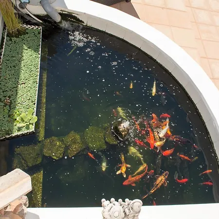 Casa Lanjaron Frühstückspension San Miguel De Salinas